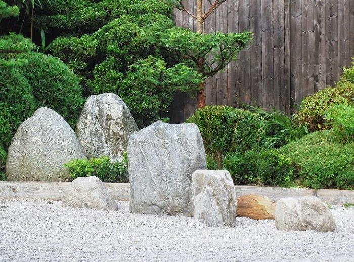 Хвойные растения в японском саде