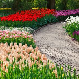 геометрические клумбы