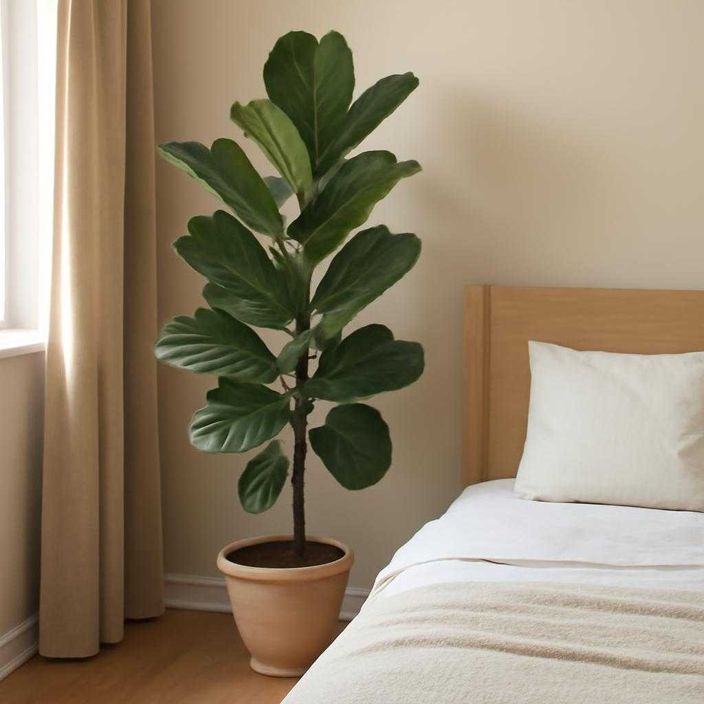 растения для спальни