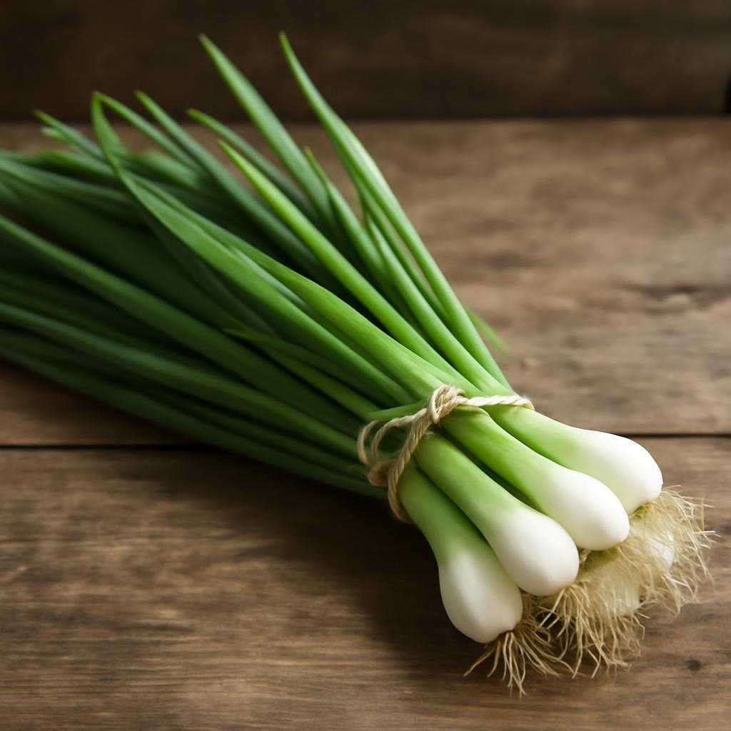 зеленый лук